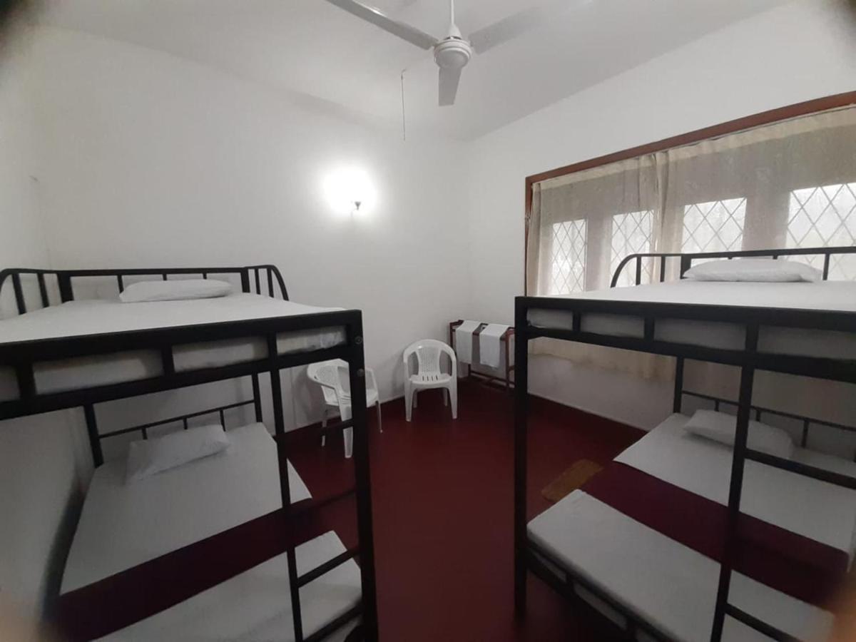 Lazy Bear Best Hostel In كاندي المظهر الخارجي الصورة