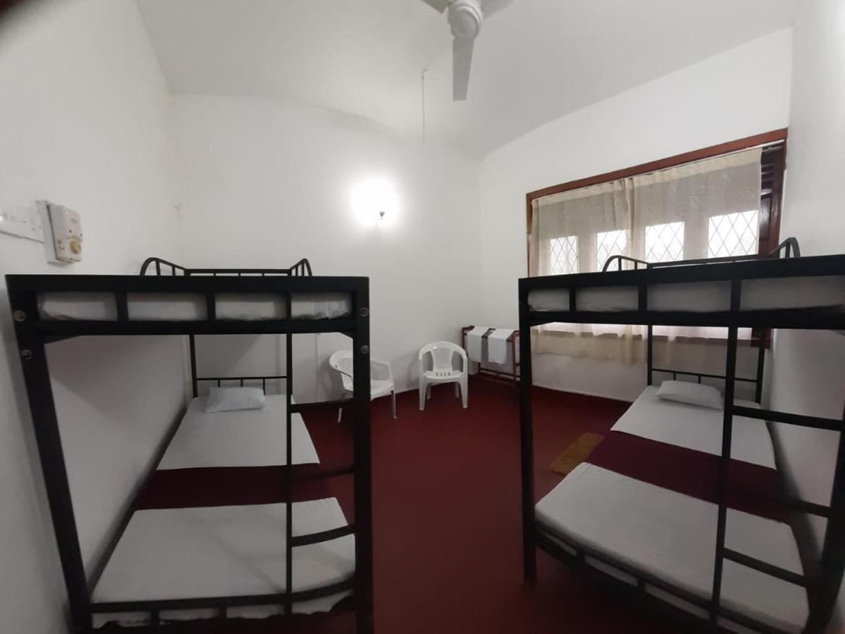 Lazy Bear Best Hostel In كاندي المظهر الخارجي الصورة
