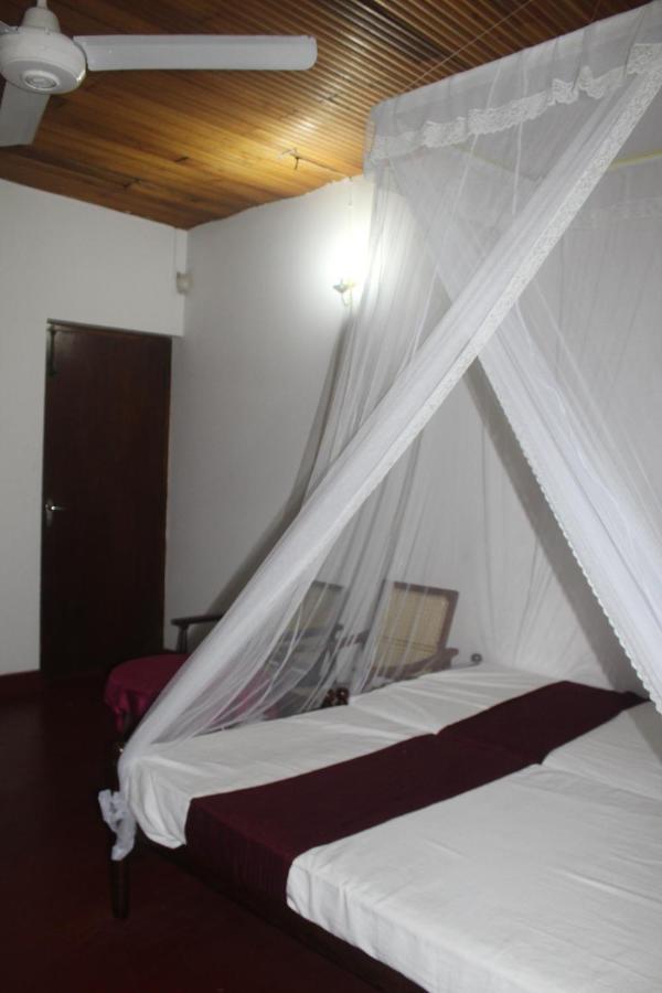 Lazy Bear Best Hostel In كاندي المظهر الخارجي الصورة
