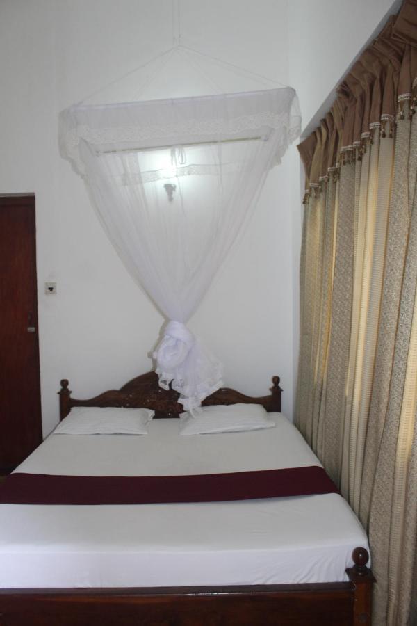 Lazy Bear Best Hostel In كاندي المظهر الخارجي الصورة