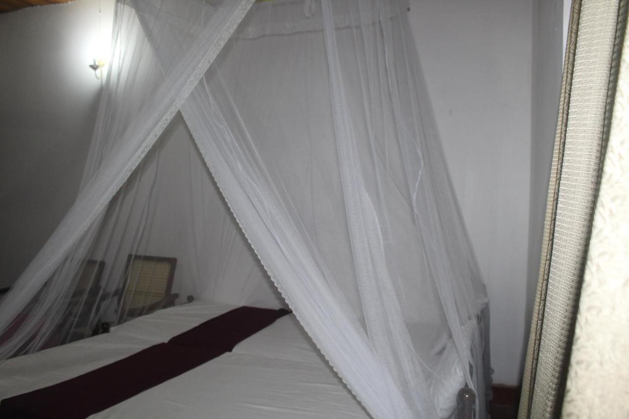 Lazy Bear Best Hostel In كاندي المظهر الخارجي الصورة