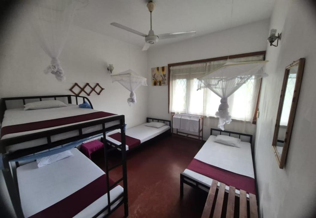 Lazy Bear Best Hostel In كاندي المظهر الخارجي الصورة