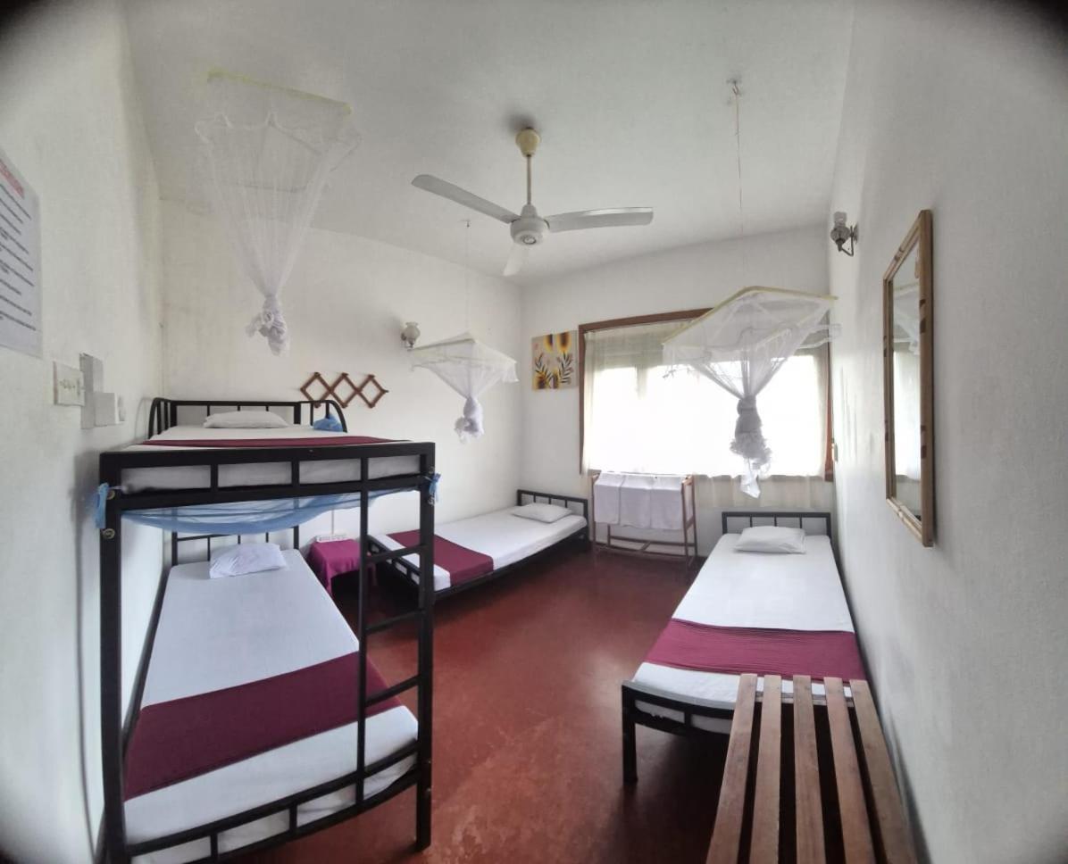 Lazy Bear Best Hostel In كاندي المظهر الخارجي الصورة