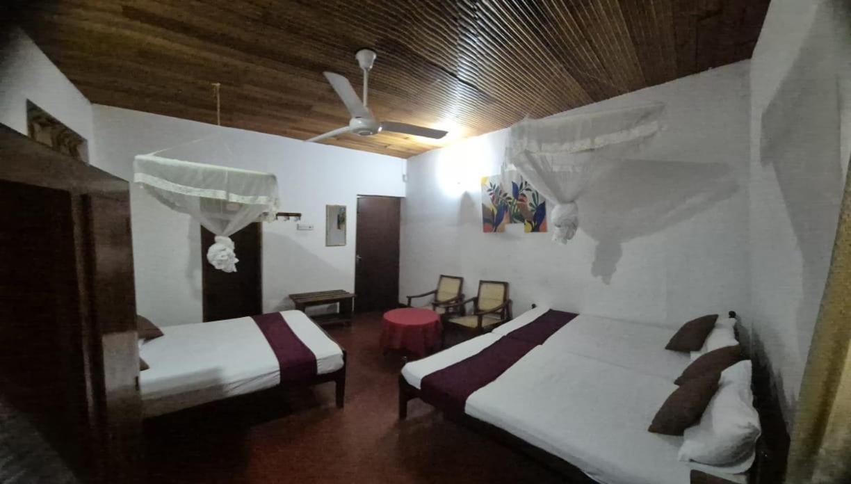 Lazy Bear Best Hostel In كاندي المظهر الخارجي الصورة