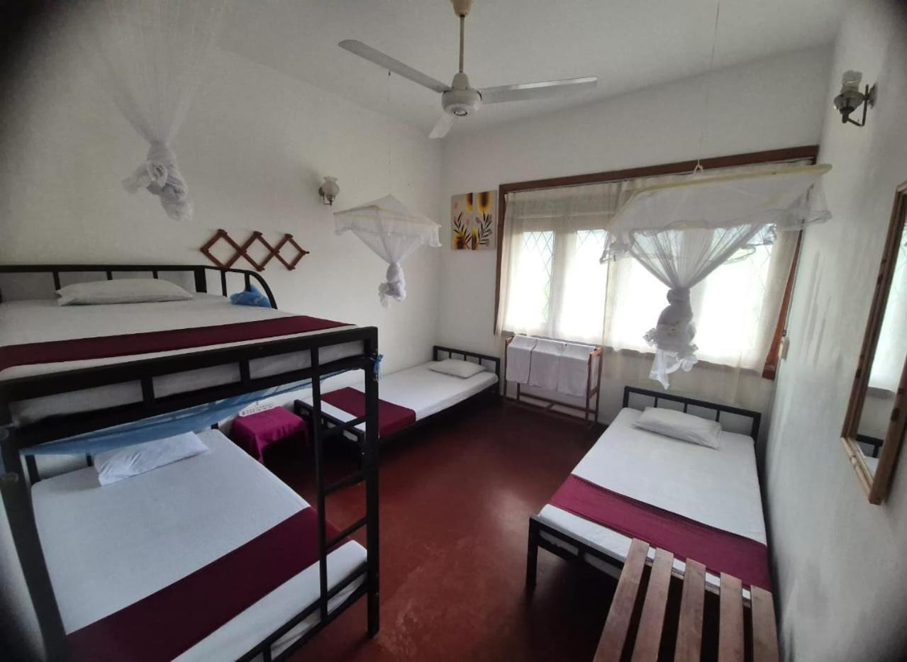 Lazy Bear Best Hostel In كاندي المظهر الخارجي الصورة
