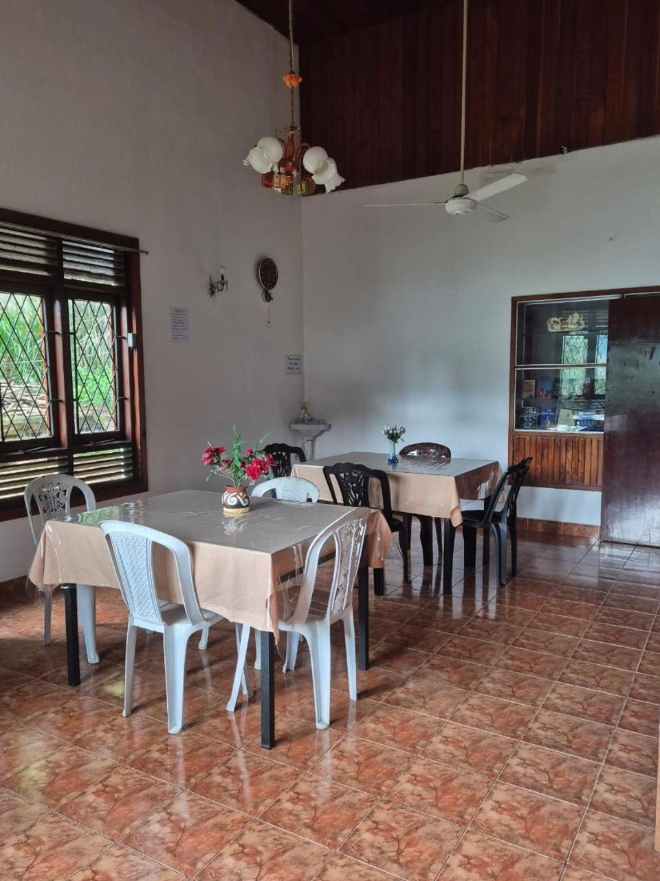 Lazy Bear Best Hostel In كاندي المظهر الخارجي الصورة