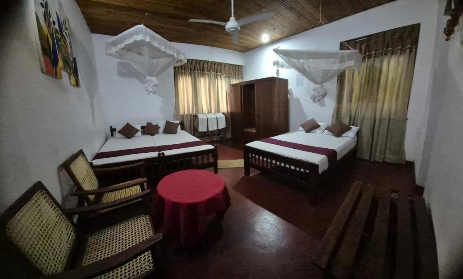 Lazy Bear Best Hostel In كاندي المظهر الخارجي الصورة